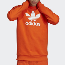 adidasپW(wng)Ʒ¿ED5947