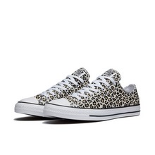 converseپWƷ¿166260