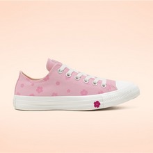 converseپWƷ¿567101